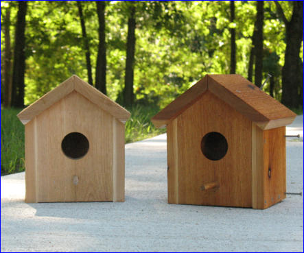 Free Birdhouse Project Plan